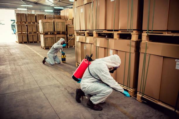 Best Flea Control Services  in Xenia, OH