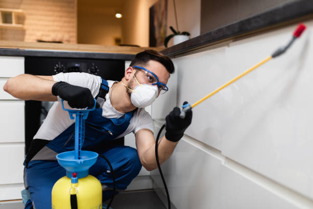 Best Best Pest Control Companies  in Xenia, OH