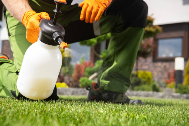 Flea Control Services in Xenia, OH