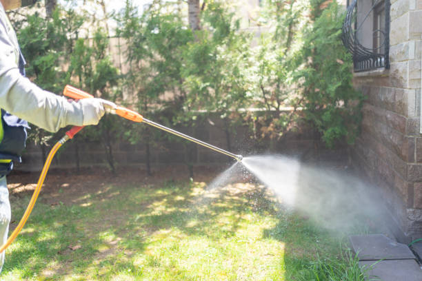 Best Insect Control  in Xenia, OH
