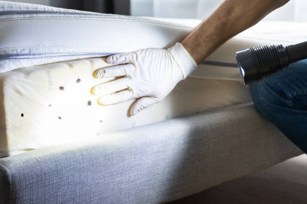 Best Residential Pest Control  in Xenia, OH