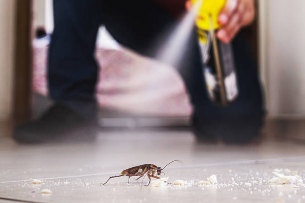 Best Pest Control for Businesses  in Xenia, OH